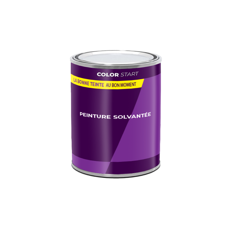 ColorStart peinture bi couche solvant